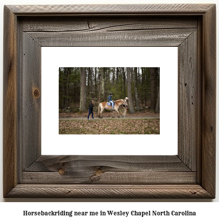 horseback riding near me in Wesley Chapel, North Carolina